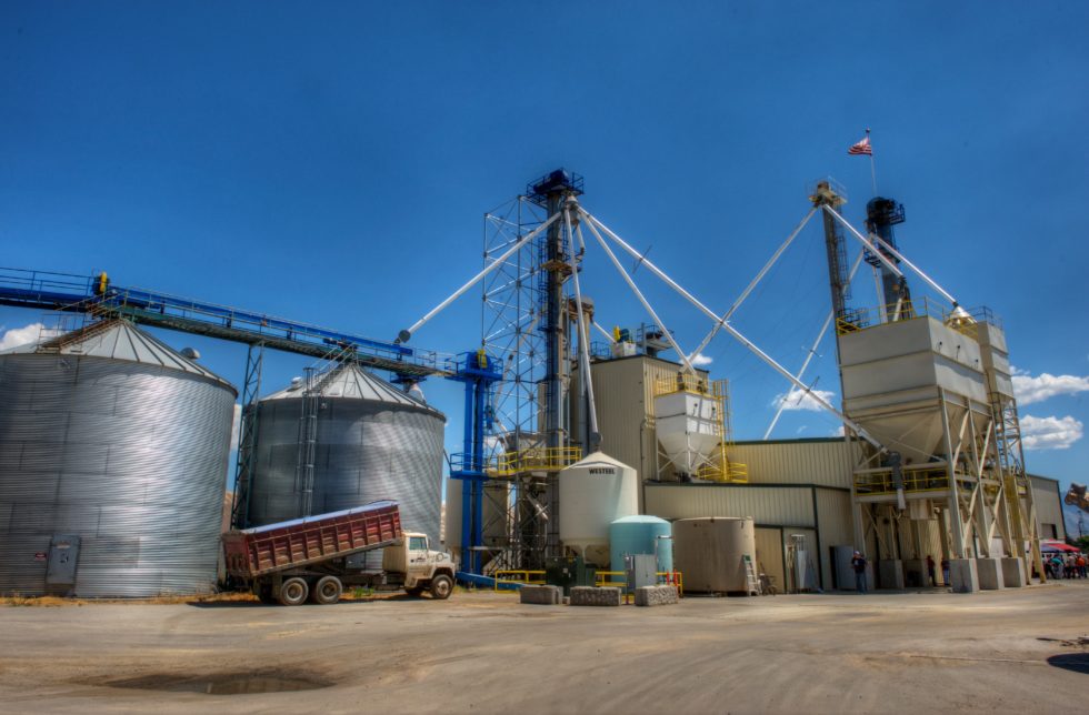 Feed Grain Mills Near Me at Steven Rosales blog